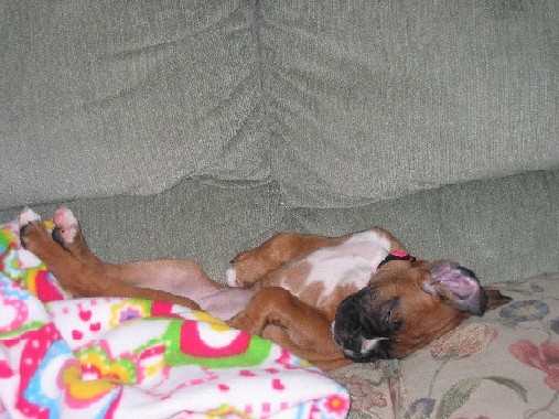 My tired baby!