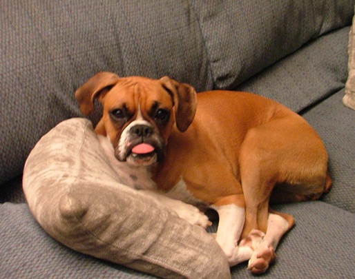 My tongue is dried out!