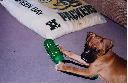 My toy, not your, MINE!
