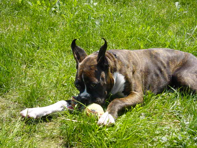 My toy!