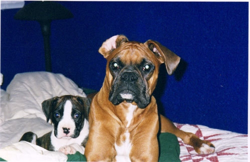 My two babes