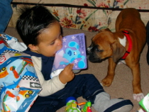 My two babies