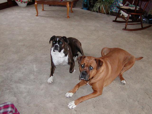 My two babies