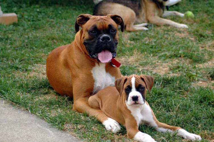 My Two Babies