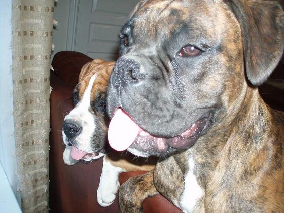 my two babies