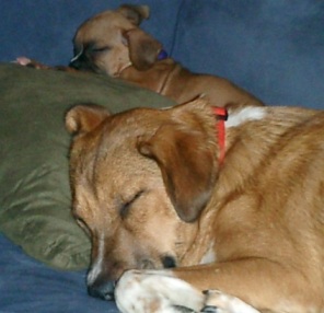 My two babies