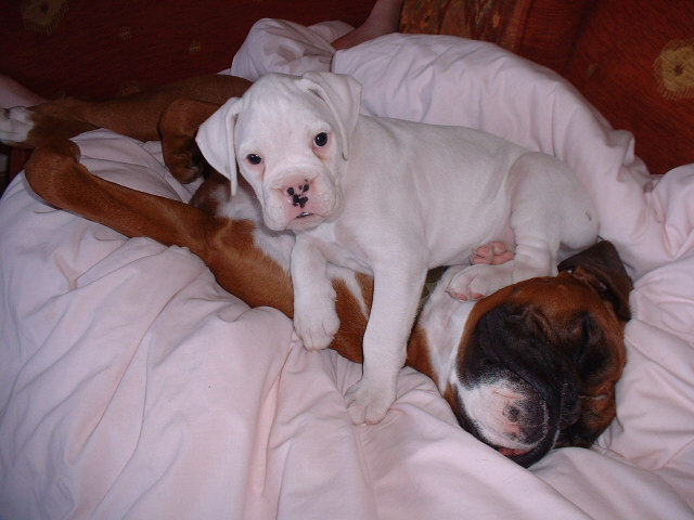 My two boys