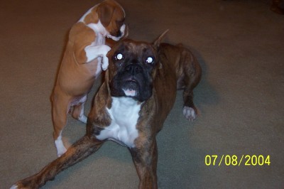 My Two Girls