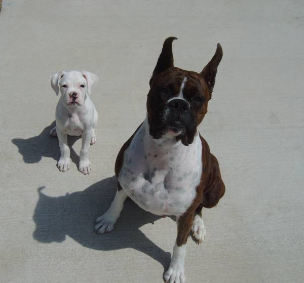 My two kids