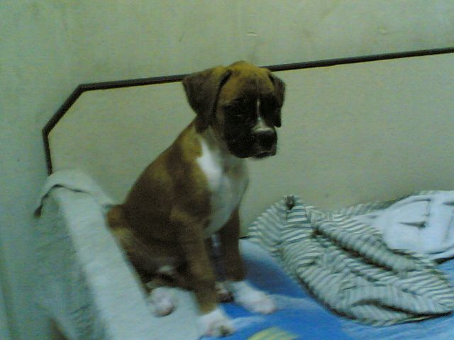 My very first night with tazz