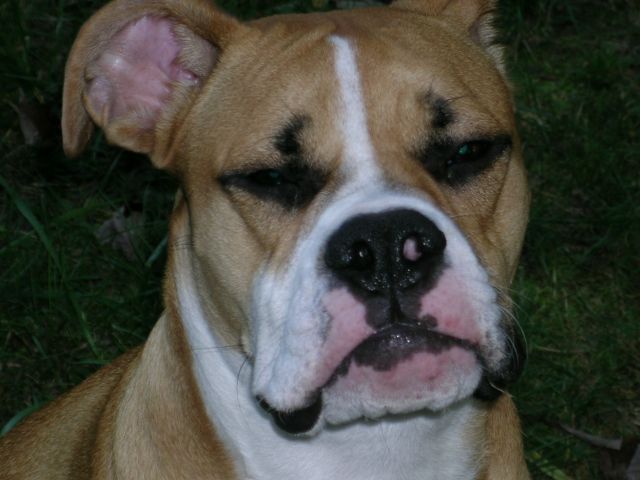 My Yoda Impression!