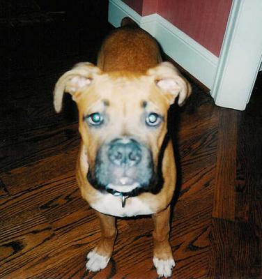 My Zehen baby!