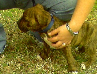 my_baby