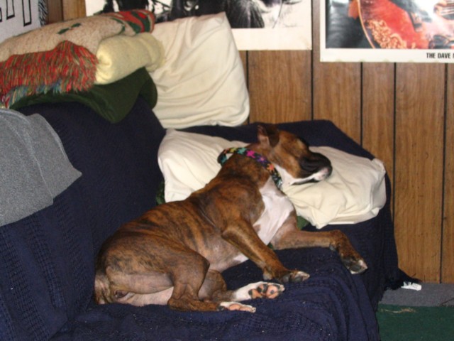 my_bed