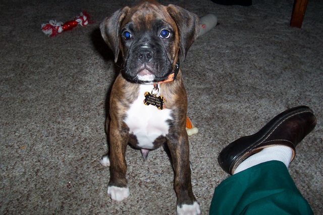 My_Boy