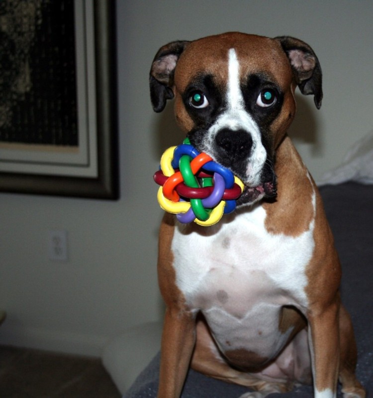 My_New_Ball