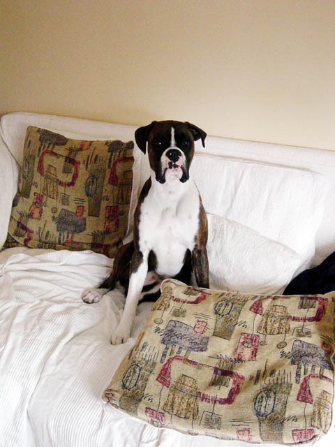 my_sofa