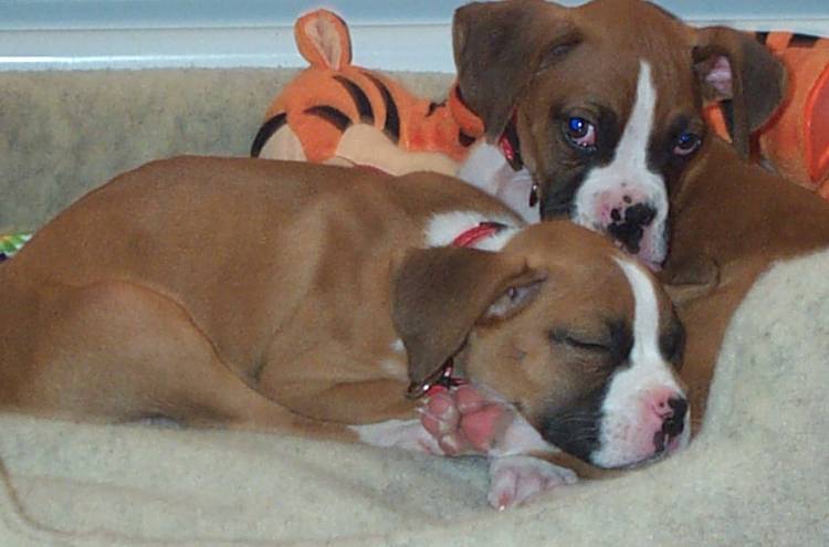 Mya & Brody
