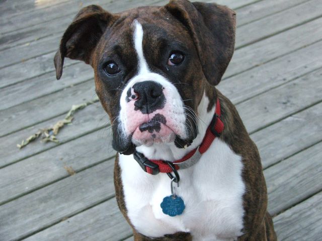Myah 6 months