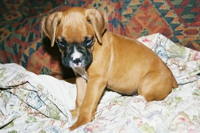 MyBaby