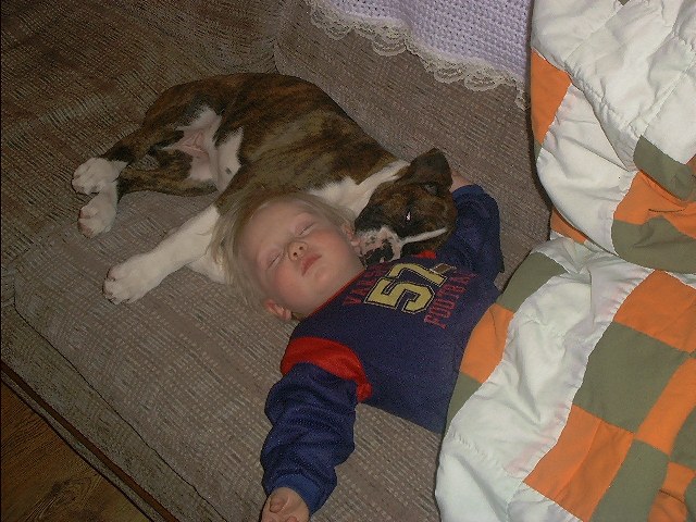 myboxer