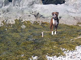 Myla in the seaweed