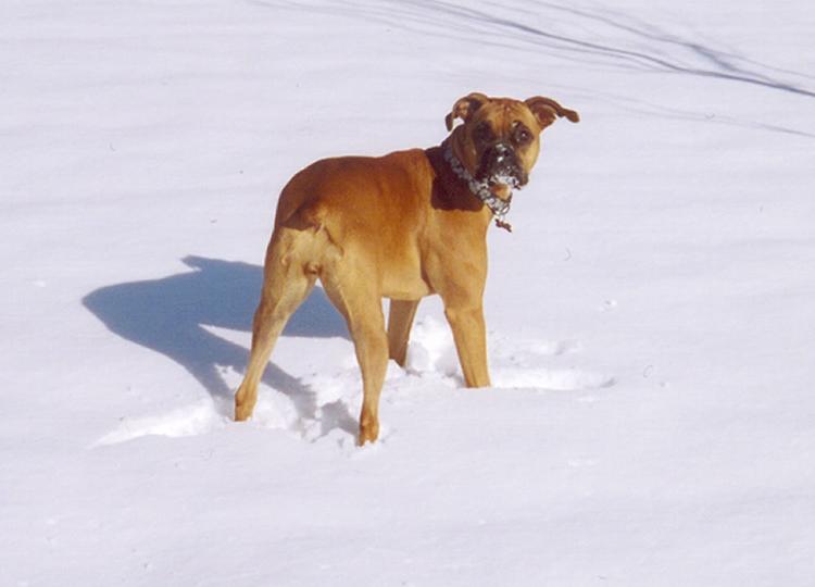 Mylee's First Snow