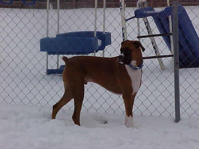 Myles in his yard