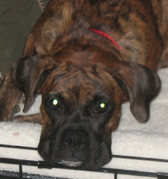 Mz. Lexi