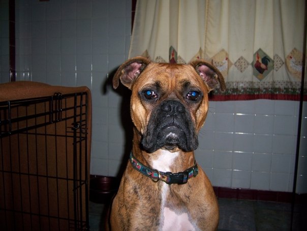 n1453926429_142142_1399