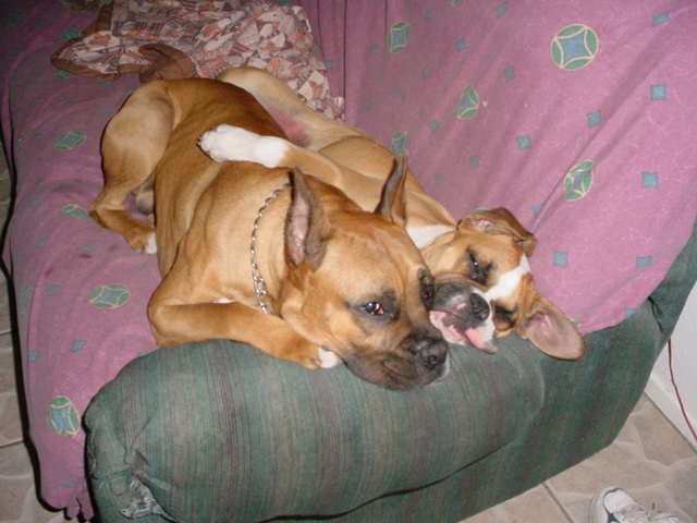 Nani and her Boyfriend
