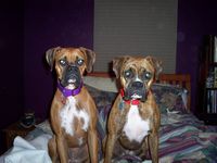 Naomi (right) and Maggie!