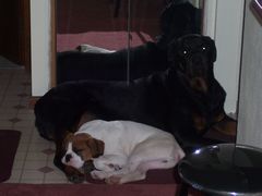 nap time again!