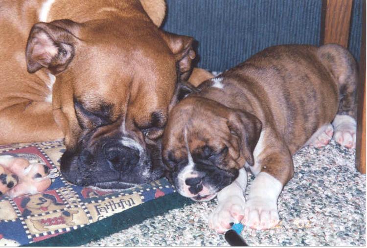 Nap time with Mom