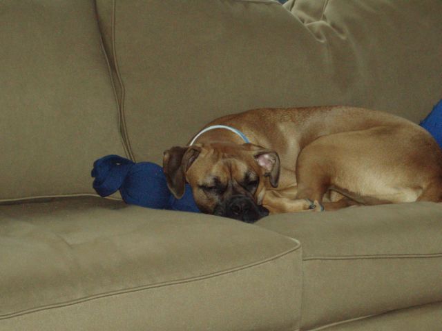 nap time with the wubba