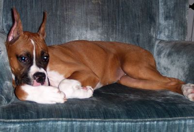 Nap time... zzz...