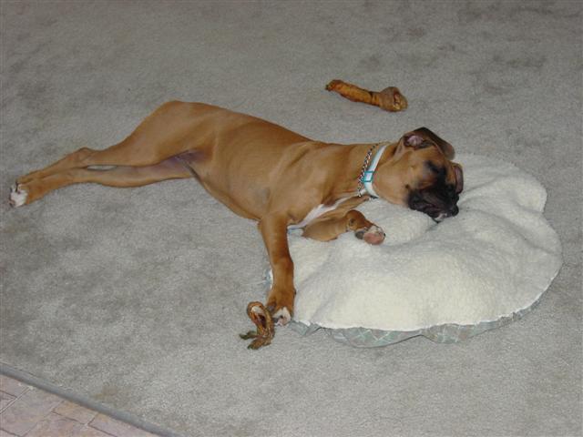 Nap Time
