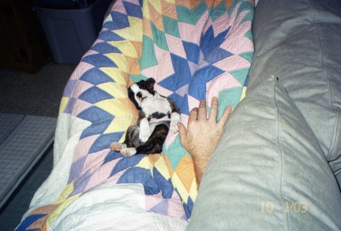 Nap Time
