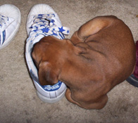 nap time