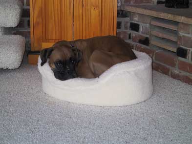 Nap Time