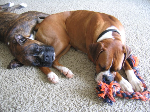 nap time.