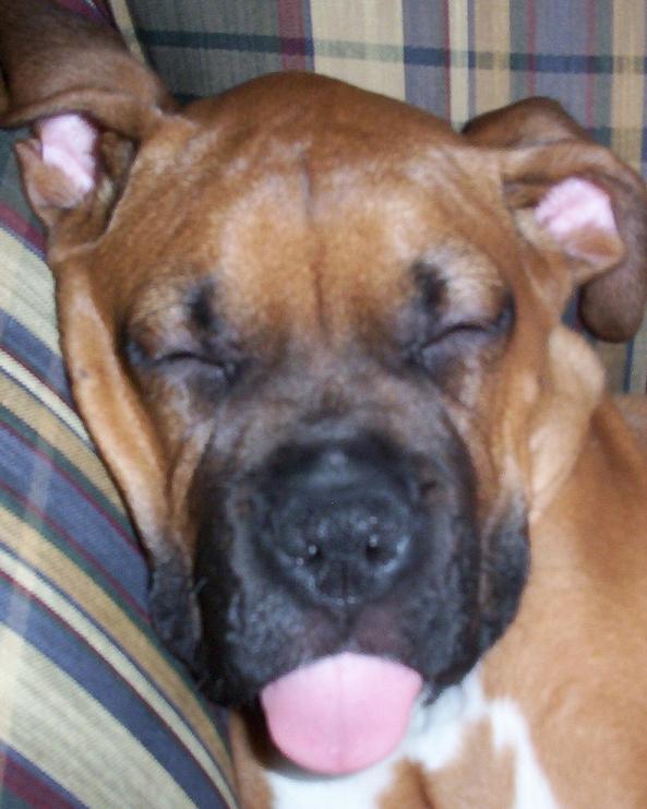 nap time