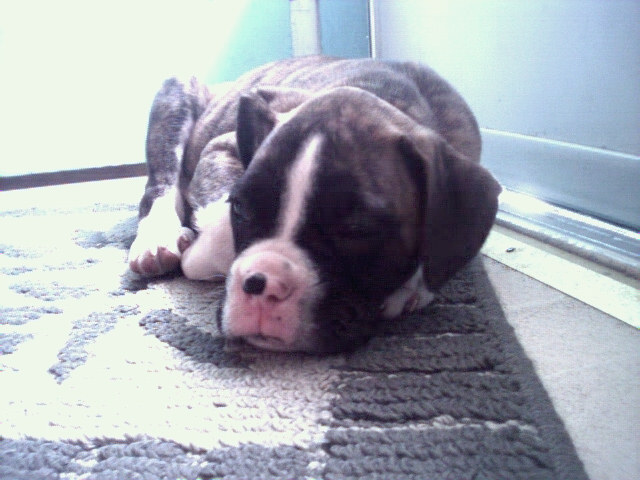 nap time