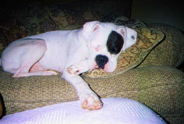 Nap time
