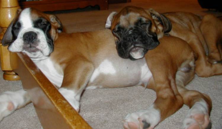 Nap Time!