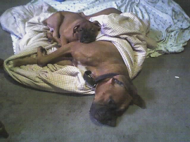 Nap Time