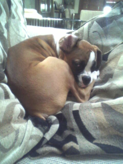 nap time!