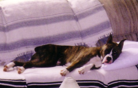 Nap time