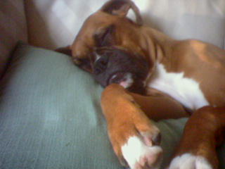 Nap Time