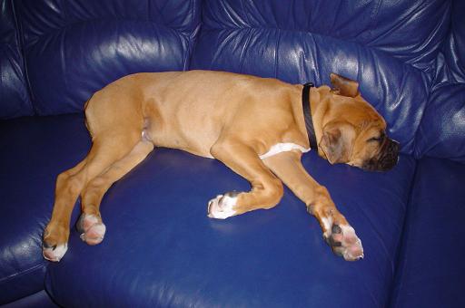 NAP TIME